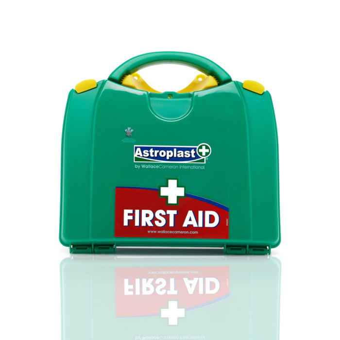 Wallace Cameron 1-10 Person HSE First Aid Kit in PGB Box 1001007