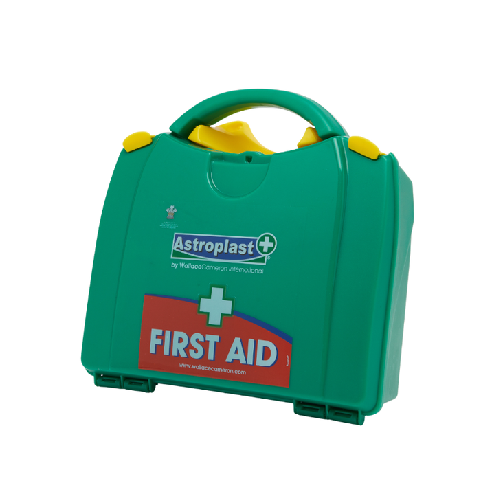 Wallace Cameron 1-20 Person HSE First Aid Kit in PGB Box 1001019